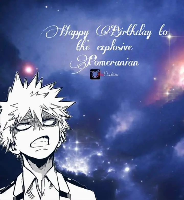 Birthday Captions for Boyfriend 
