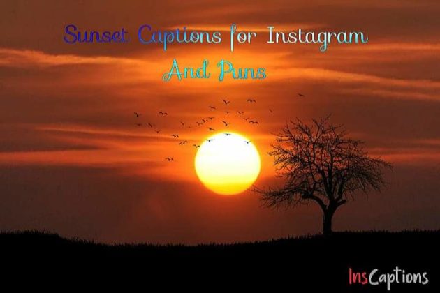 200+ Latest Best Sunset Captions For Instagram And Puns In 2021