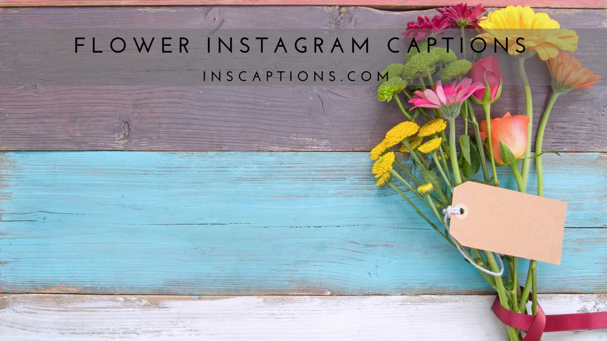 Flower Instagram Captions